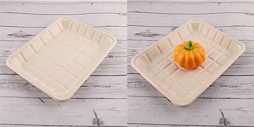 Wholesale China Compostable Rectangle Sugarcane Bagasse Pulp Tray