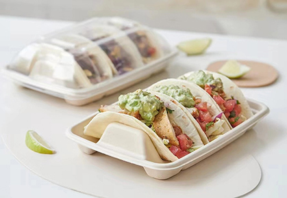 Wholesale China Sugarcane Disposable Taco Plate With Compartments