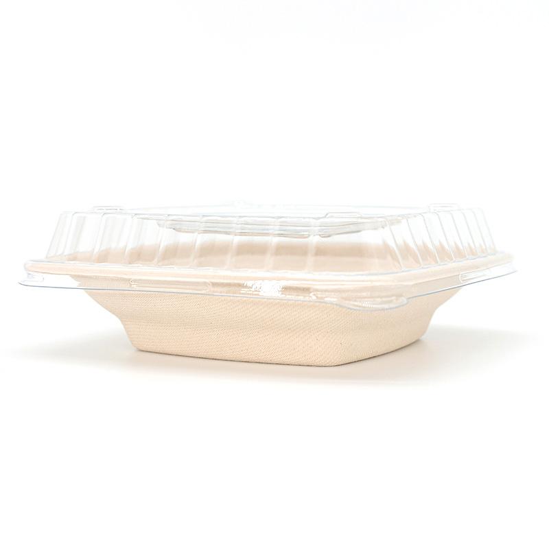 Wholesale 16oz Disposable Sugarcane Fresh Fruit Salad Container Bowl with  Lid